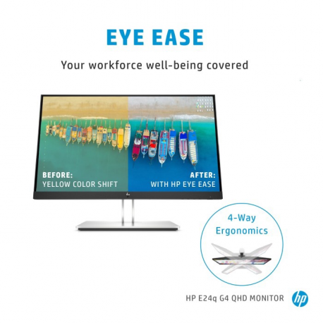 HP E24q G4 - E-Series - LED monitor - 24" (23.8" viewable) - 2560 x 1440 QHD @ 60 Hz - IPS - 250 cd / m² - 1000:1 - 5 ms - HDMI, VGA, DisplayPort - black - for HP EliteBook 745 G5, 830 G5, 830 G6, 840 G5, 840 G6 - 5