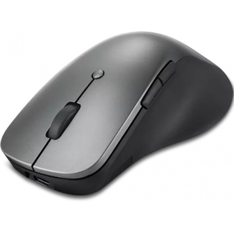 Lenovo Professional - Mouse - ergonomic - blue optical - 6 buttons - wireless - Bluetooth 5.1 - storm grey - 1