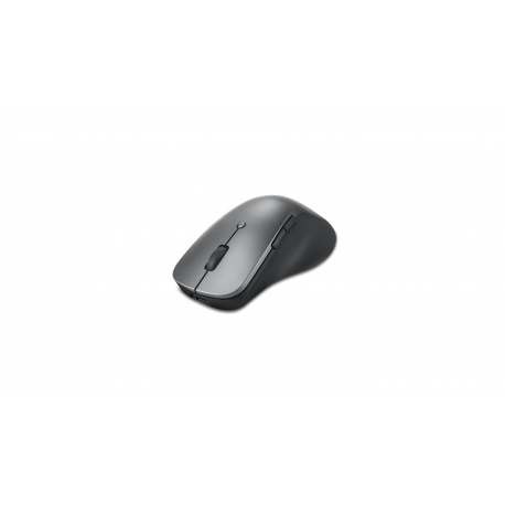 Lenovo Professional - Mouse - ergonomic - blue optical - 6 buttons - wireless - Bluetooth 5.1 - storm grey - 7