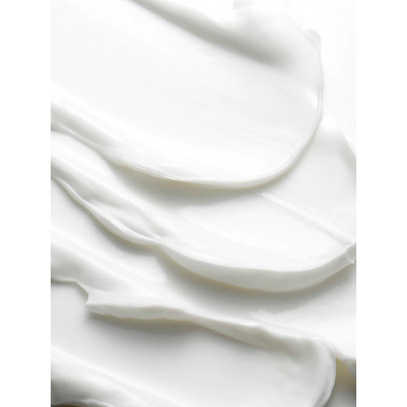 Equip Life - Patch cable - RJ-45 (M) to RJ-45 (M) - 50 cm - UTP - CAT 6 - molded, stranded - black - 1