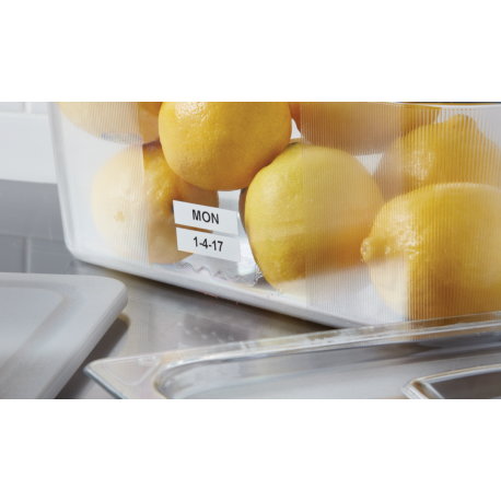 DYMO LabelMANAGER 210D - Labelmaker - B / W - thermal transfer - Roll (1.2 cm) - 180 dpi - cutter - 1 line printing, 2 line printing - black, silver - 2