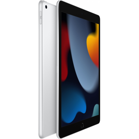 Apple 10.2-inch iPad Wi-Fi - 9th generation - tablet - 256 GB - 10.2" IPS (2160 x 1620) - silver - 1