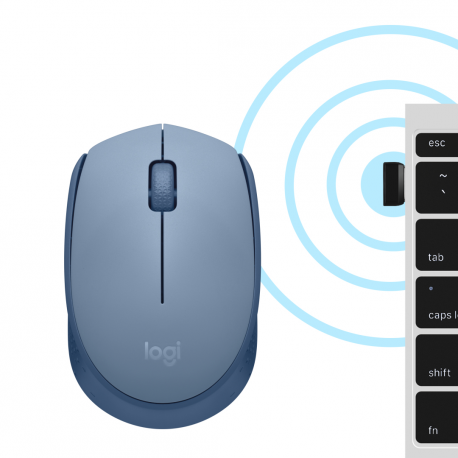 Logitech M171 - Mouse - right and left-handed - optical - 3 buttons - wireless - 2.4 GHz - USB wireless receiver - blue/grey - 5