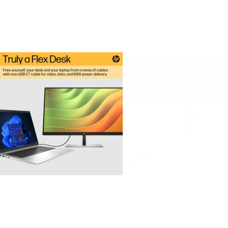 HP E24u G5 - E-Series - LED monitor - 23.8" (23.8" viewable) - 1920 x 1080 Full HD (1080p) @ 75 Hz - IPS - 250 cd / m² - 1000:1 - 5 ms - HDMI, DisplayPort, USB-C - black head, black and silver (stand) - 11