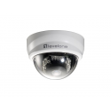 LevelOne FCS-3101 - Network surveillance camera - pan / tilt - colour (Day&Night) - 2 MP - 1920 x 1080 - fixed focal - audio - LAN 10 / 100 - MPEG-4, AVI, MJPEG, 3GPP, H.264 - DC 12 V / AC 24 V / PoE