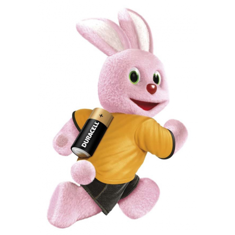 Alkaline SecurityMN21, 12V 2p - 2