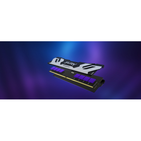 Kingston FURY Renegade - DDR5 - module - 48 GB - DIMM 288-pin - 6000 MHz  /  PC5-48000 - CL32 - 1.35 V - unbuffered - on-die ECC - silver / black - 15