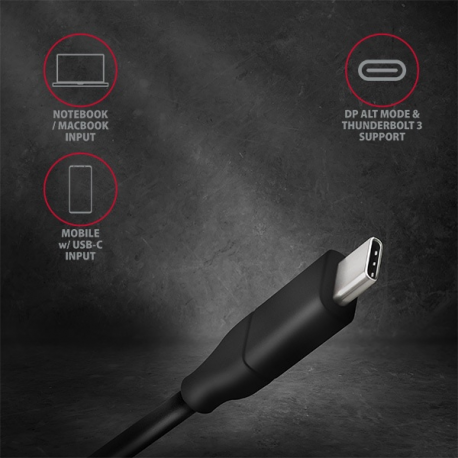 Active USB-C -> DisplayPort cable - adapter AXAGON RVC-DPC for connecting a - 13