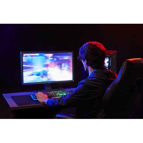 Kingston FURY Beast - DDR5 - module - 8 GB - DIMM 288-pin - 6000 MHz  /  PC5-48000 - CL30 - 1.4 V - unbuffered - on-die ECC - black - 21