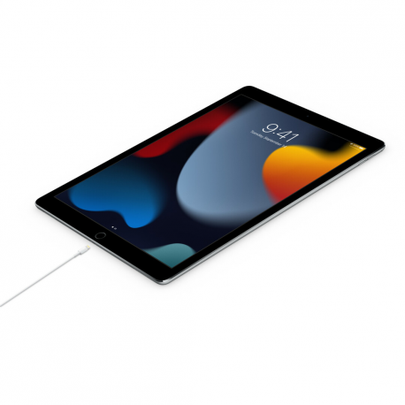 Apple USB-C to Lightning Cable - Lightning cable - 24 pin USB-C male to Lightning male - 1 m - 1