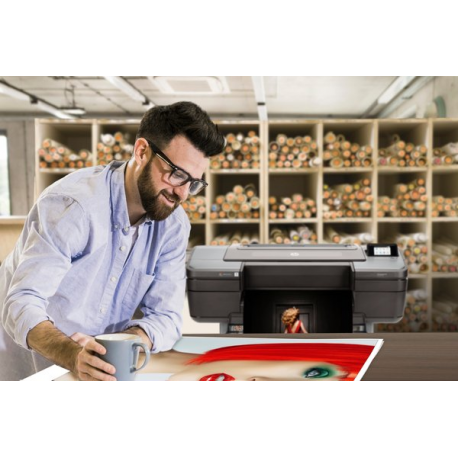 HP DesignJet Z9+ PostScript - 44" large-format printer - colour - ink-jet - Roll (111.8 cm) - 2400 x 1200 dpi - up to 1.2 min / page (mono) / up to 1.2 min / page (colour) - Gigabit LAN, USB host - cutter - 30