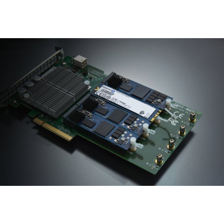 Kingston Data Center DC2000B - SSD - Enterprise - 960 GB - internal - M.2 2280 - PCIe 4.0 x4 (NVMe) - 3