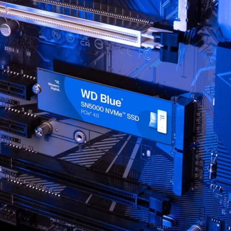 WD Blue SN5000 WDS500G4B0E - SSD - 500 GB - internal - M.2 2280 - PCIe 4.0 x4 (NVMe) - 2