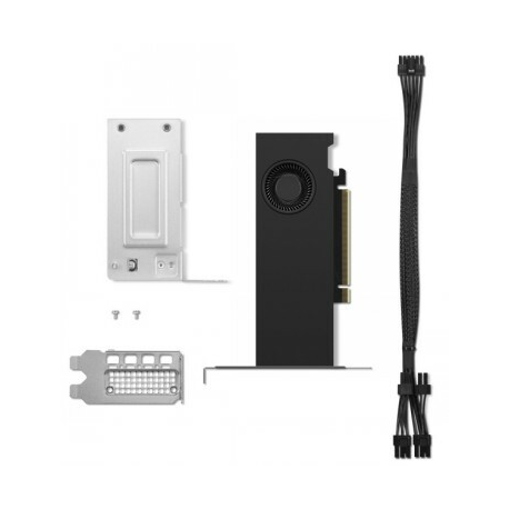 NVIDIA RTX 2000 Ada - Graphics card - NVIDIA RTX 2000 Ada - 16 GB GDDR6 - PCIe 4.0 x8 low profile - 4 x DisplayPort - 0