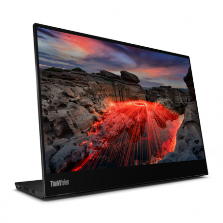 Lenovo ThinkVision M14t Gen 2 - LED monitor - 14" - portable - touchscreen - 2240 x 1400 - IPS - 300 cd / m² - 1500:1 - 6 ms - 2xUSB-C - raven black - 11