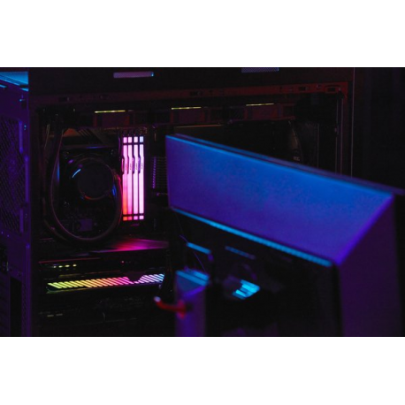 Kingston FURY Beast RGB - DDR5 - module - 16 GB - DIMM 288-pin - 3000 MHz  /  PC5-48000 - CL36 - 1.35 V - unbuffered - on-die ECC - black - 2