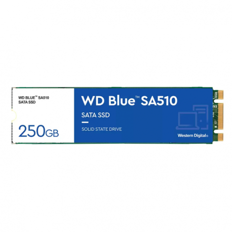 WD Blue SA510 WDS250G3B0B-00AXS0 - SSD - 250 GB - internal - M.2 2280 - SATA 6Gb/s - blue - 7
