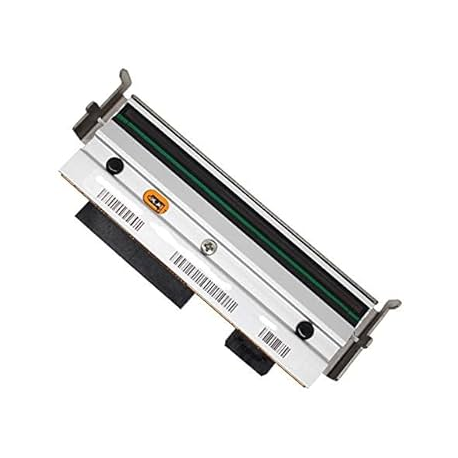 Kit Printhead 203 dpi Z4M+ - replacement - 1