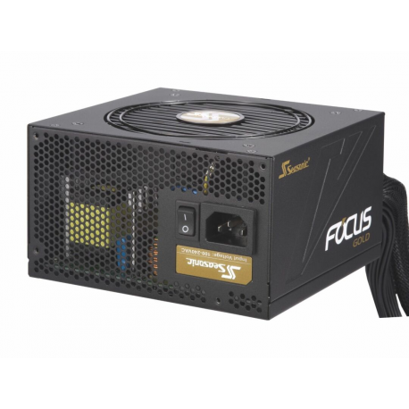 Seasonic FOCUS Gold SSR-750FM - Power supply (internal) - ATX12V  /  EPS12V - 80 PLUS Gold - AC 100-240 V - 750 Watt - active PFC - 3