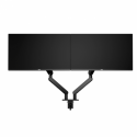 AOC AM420B - Mounting kit (clamp, grommet mount, monitor arm, gas spring) - for 2 flat panels - simple and sleek - aluminium alloy - black - screen size: 17"-34" - desk-mountable