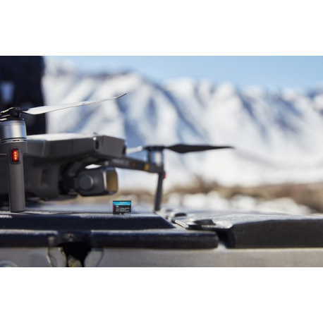 Kingston Canvas Go! Plus - Flash memory card - 256 GB - A2 / Video Class V30 / UHS-I U3 / Class10 - microSDXC UHS-I - 3