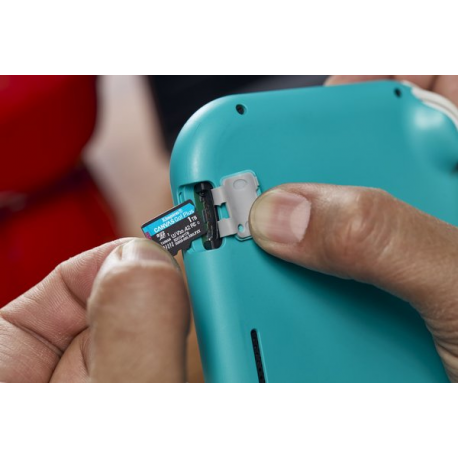 Kingston Canvas Go! Plus - Flash memory card - 1 TB - A2  /  Video Class V30  /  UHS-I U3  /  Class10 - microSDXC UHS-I - 6