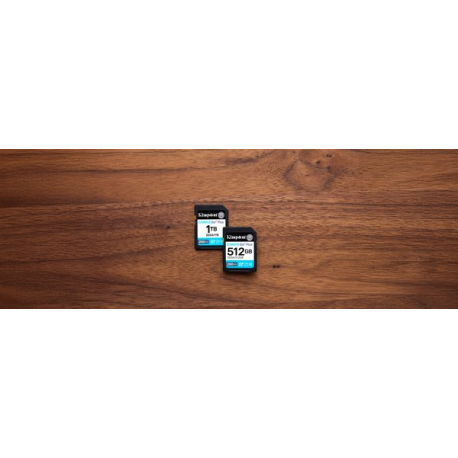 Kingston Canvas Go! Plus - Flash memory card - 1 TB - Video Class V30 / UHS-I U3 / Class10 - SDXC UHS-I - 6