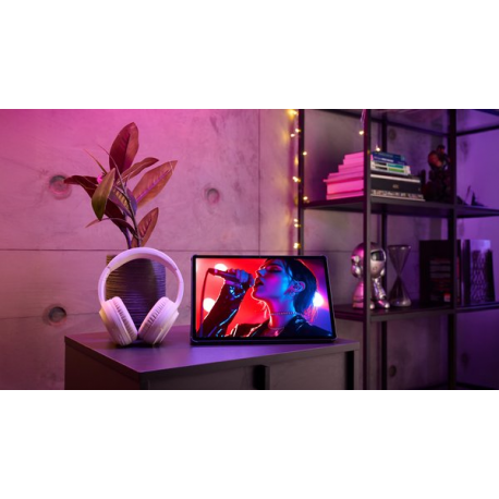 Lenovo Idea Tab Pro ZAE4 - Tablet - Android 14 or later - 256 GB UFS card - 12.7" LTPS (2944 x 1840) - microSD slot - luna grey - 1