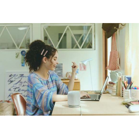 Sony LinkBuds SRS-LS1 - Speaker - for portable use - wireless - Bluetooth - App-controlled - 2-way - light grey - 11