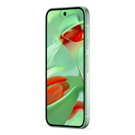 Google Pixel 9 - 5G smartphone - dual-SIM - RAM 12 GB  /  Internal Memory 128 GB - OLED display - 6.3" - 2424 x 1080 pixels (120 Hz) - 2x rear cameras 50 MP, 48 MP - front camera 10.5 MP - wintergreen - 10