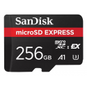 SanDisk Express - Flash memory card - 256 GB - microSDXC UHS-I
