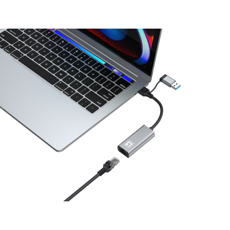 LevelOne - Network adapter - USB-C 3.2 Gen 1 / USB-A 3.2 Gen 1 - 10M/100M/1G/2.5 Gigabit Ethernet - grey - 3