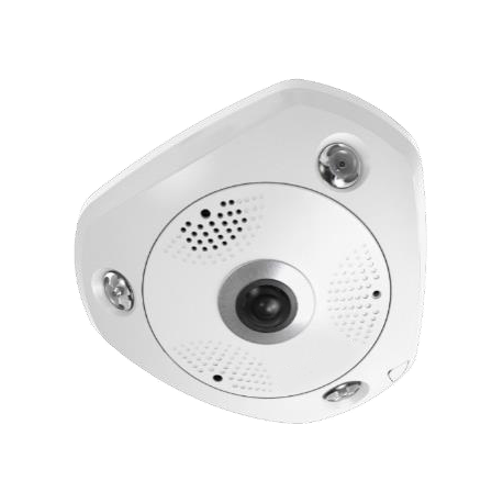 LevelOne FCS-3095 - Panoramic camera - dome - weatherproof - colour (Day&Night) - 12 MP - 4000 x 3000 - 720p, 1080p - M12 mount - fixed focal - audio - GbE - MJPEG, H.264 - DC 12 V / PoE - 0