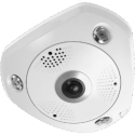 LevelOne FCS-3095 - Panoramic camera - dome - weatherproof - colour (Day&Night) - 12 MP - 4000 x 3000 - 720p, 1080p - M12 mount - fixed focal - audio - GbE - MJPEG, H.264 - DC 12 V  /  PoE