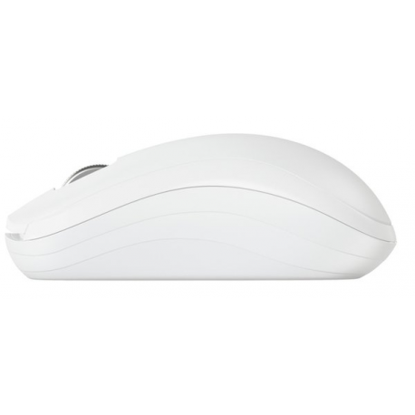 CHERRY MW 2200 - Mouse - ergonomic - right and left-handed - optical - 3 buttons - wireless - 2.4 GHz - USB wireless receiver - white - 3