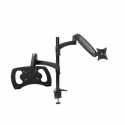 Trust Mara - Mounting kit (dual arm) - for monitor / notebook - black - screen size: up to 32" (monitor) / up to 17" (notebook) - desk-mountable