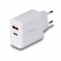 Lindy - Power adapter - GaN - 65 Watt - 3 A - PD 3.0, PD / PPS - 2 output connectors (USB, 24 pin USB-C) - white