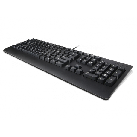 Lenovo Preferred Pro II - Keyboard - full size - USB - QWERTY - Swedish / Finnish - black - brown box - 4
