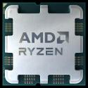 AMD Ryzen 7 7700 65W 8C/16T 5.3GHz AM5 MPK