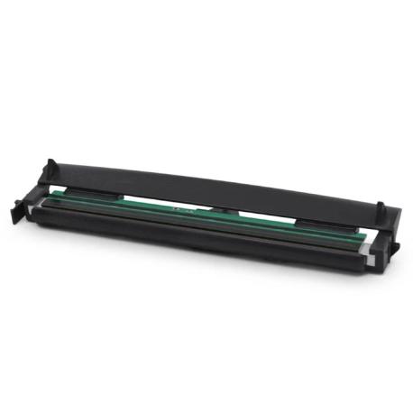Zebra - 300 dpi - printhead - 0