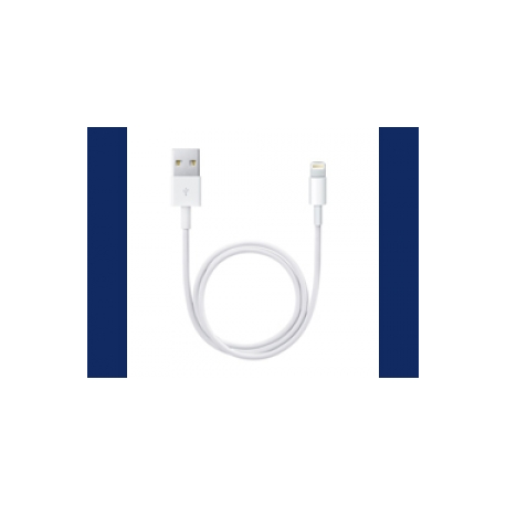 Apple - Lightning cable - Lightning male to USB male - 50 cm - for iPad / iPhone / iPod (Lightning) - 0