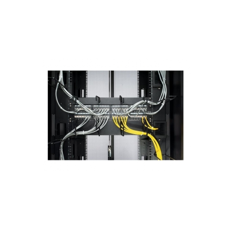 APC - Cable organizer - black - 2U - for NetShelter EP; NetShelter ES; NetShelter SX; Netshelter VS; Netshelter VX; NetShelter WX - 2