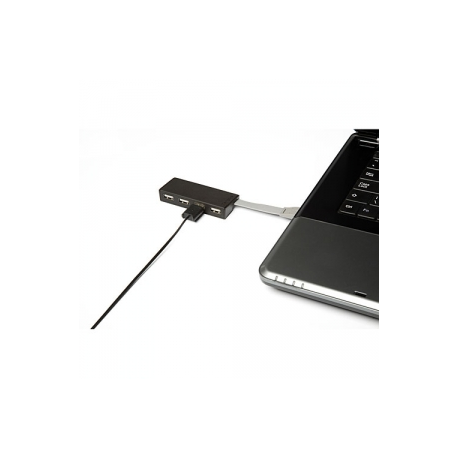 Targus - Hub - 4 x USB 2.0 - desktop - 4