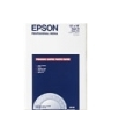 Epson Premium Luster - Glossy - 10 mil - Super A3 / B (330 x 483 mm) - 250 g / m² - 100 sheet(s) photo paper - for SureColor SC-P700, P7500, P900, P9500, T2100, T3100, T3400, T3405, T5100, T5400, T5405 - 0