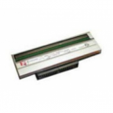 Zebra - 203 dpi - printhead - for Zebra ZD410
