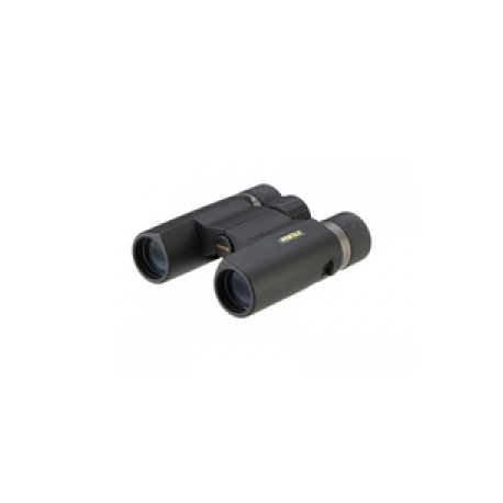 DeLOCK - DisplayPort adapter - DisplayPort (M) to DVI-I (F) - 20 cm - active - black - 0