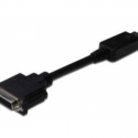 ASSMANN - DisplayPort adapter - DisplayPort (M) to DVI-D (F) - 15 cm - molded - black