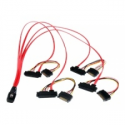 StarTech.com 50cm Internal Serial Attached SCSI Mini SAS Cable - SFF8087 to 4x SFF8482 - Internal Mini SAS Cable (SAS808782P50) - SAS internal cable - SAS 6Gbit / s - 36 pin 4i Mini MultiLane (P) to SATA power, 29 pin internal SAS (SFF-8482) - 50 cm - red