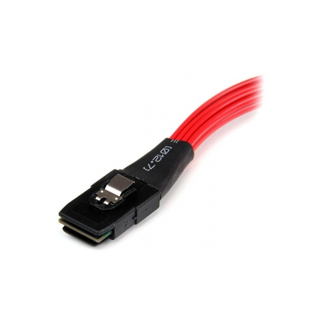 StarTech.com 50cm SFF-8087 to 4x SATA - Internal Mini SAS to SATA Reverse Cable - internal Mini SAS to SATA (SAS8087S4R50) - SATA  /  SAS cable - Serial ATA 150 / 300 / 600 - 4-Lane - SATA (R) to 36 pin 4i Mini MultiLane (P) - 50 cm - latched - red - 1