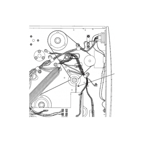 Zebra - Media rewind belt - 0